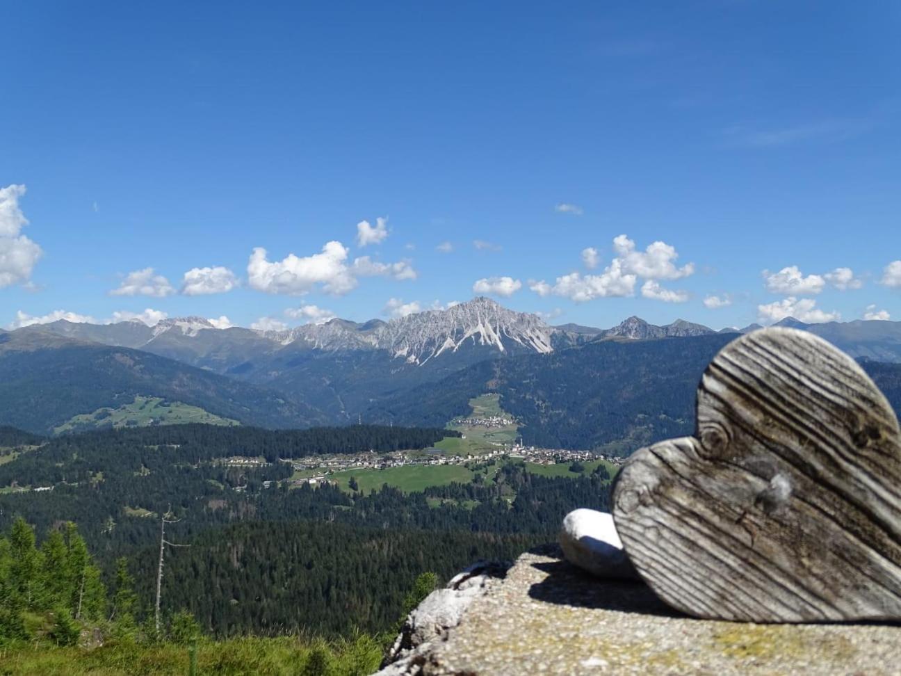 Appartamento Da Romano - Nel Cuore Delle Dolomiti Danta Exterior foto